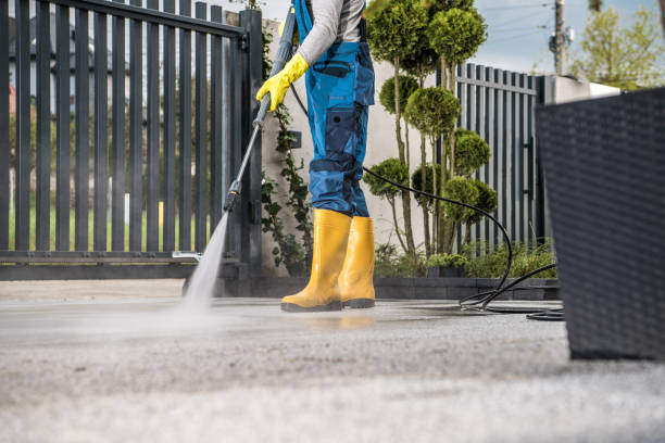 Best Roof Power Washing Services  in New Athens, IL
