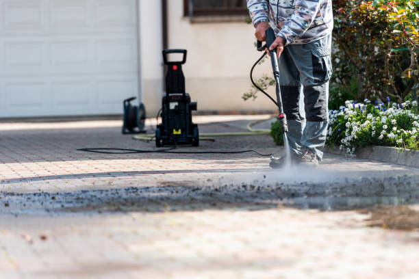 Best Local Pressure Washing Services  in New Athens, IL