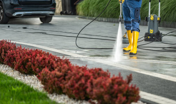 Best Roof Power Washing Services  in New Athens, IL