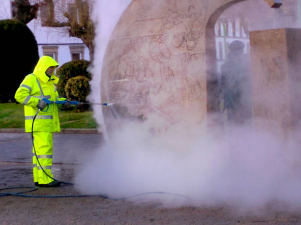Best Roof Pressure Washing  in New Athens, IL